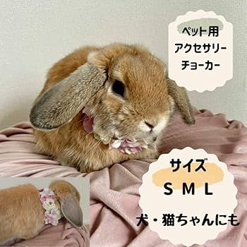 Amazon | [オメカシペット] うさぎ 花冠チョーカー 花飾り S～L